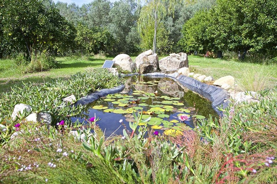 Luna&Limoni Country Muravera Dış mekan fotoğraf
