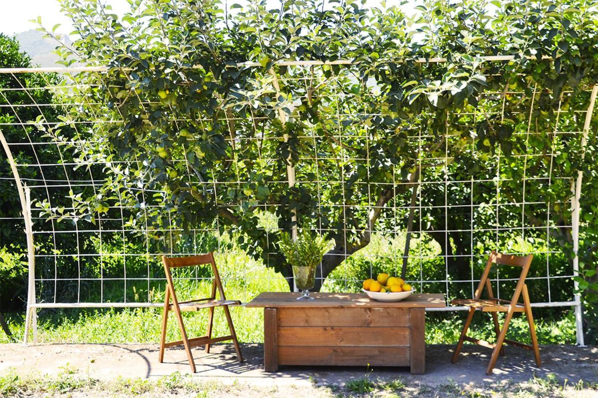 Luna&Limoni Country Muravera Dış mekan fotoğraf