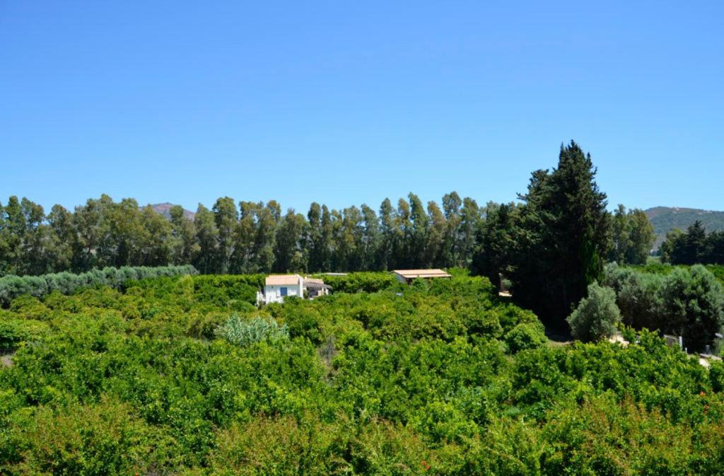 Luna&Limoni Country Muravera Dış mekan fotoğraf