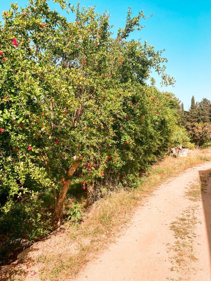 Luna&Limoni Country Muravera Dış mekan fotoğraf