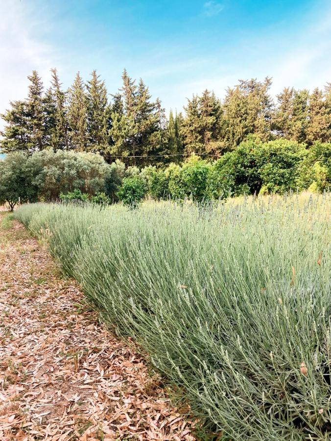Luna&Limoni Country Muravera Dış mekan fotoğraf