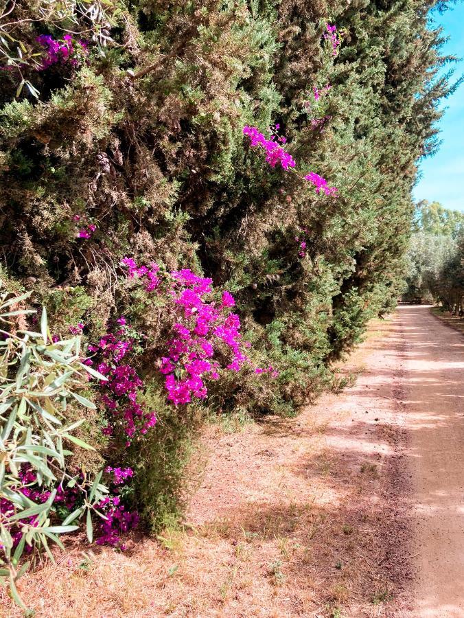 Luna&Limoni Country Muravera Dış mekan fotoğraf