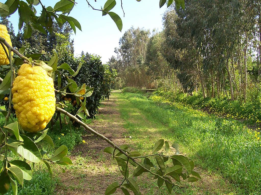 Luna&Limoni Country Muravera Dış mekan fotoğraf